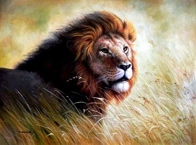 640x475 Cecil The Famous Lion. Painting By Mo Ismael - Famous Lion Painting