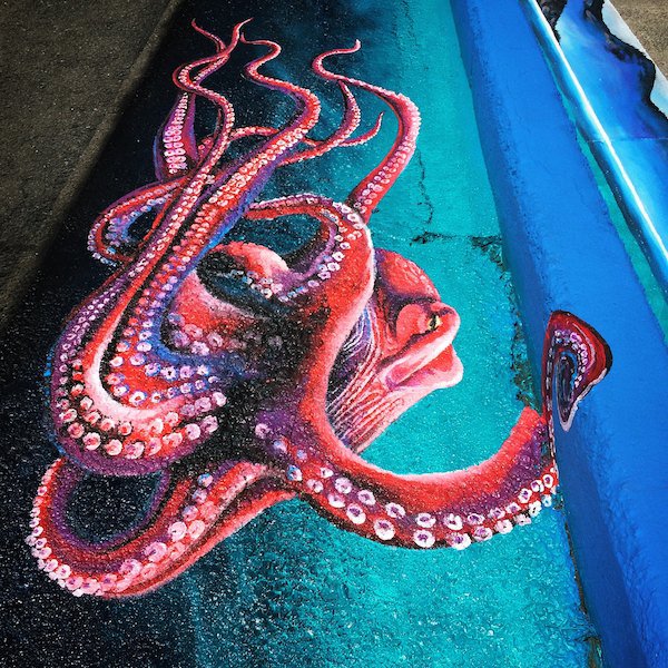 600x600 Storm Drain Art In Friday Harbor Tucker House Inn - Famous Octopus Painting