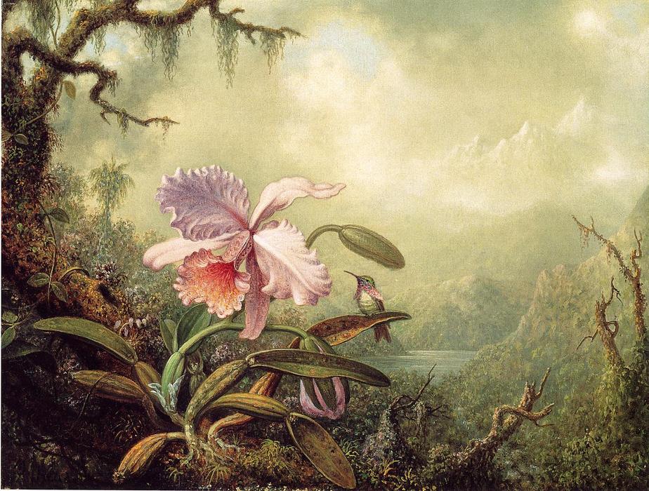 924x700 Heliodore's Woodstar And A Pink Orchid By Martin Johnson Heade - Famous Orchid Painting