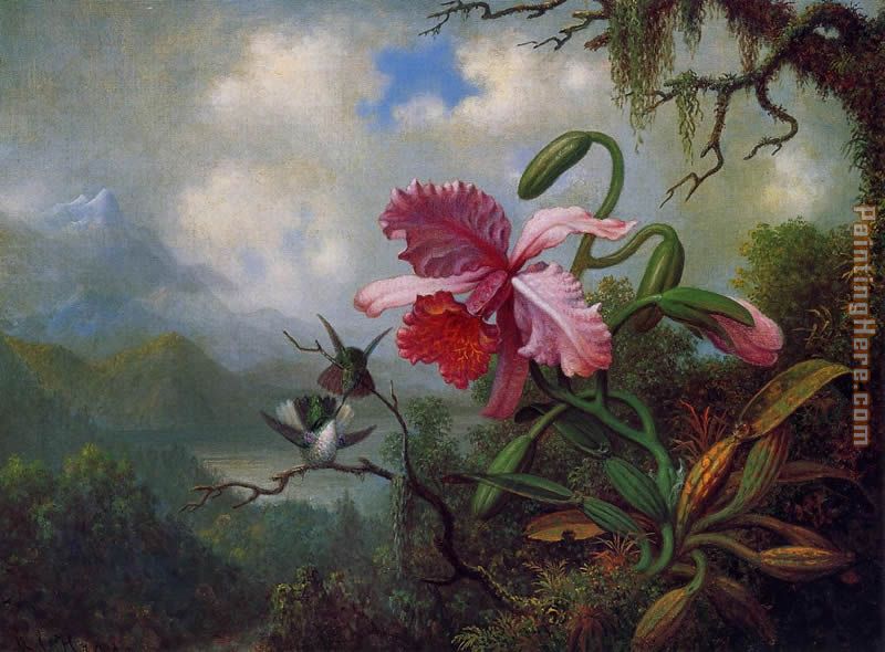 800x590 Martin Johnson Heade Orchid And Hummingbirds Near A Mountain Lake - Famous Orchid Painting