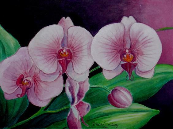 564x422 117 Best Flores Images On Paint Flowers, Painted - Famous Orchid Painting