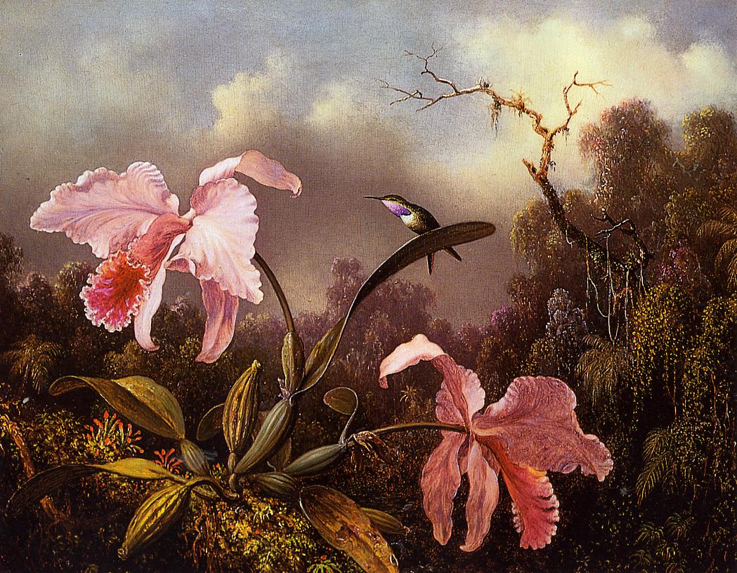 1049x816 Orchids And Hummingbird 1872 Painting Martin Johnson Heade Oil - Famous Orchid Painting