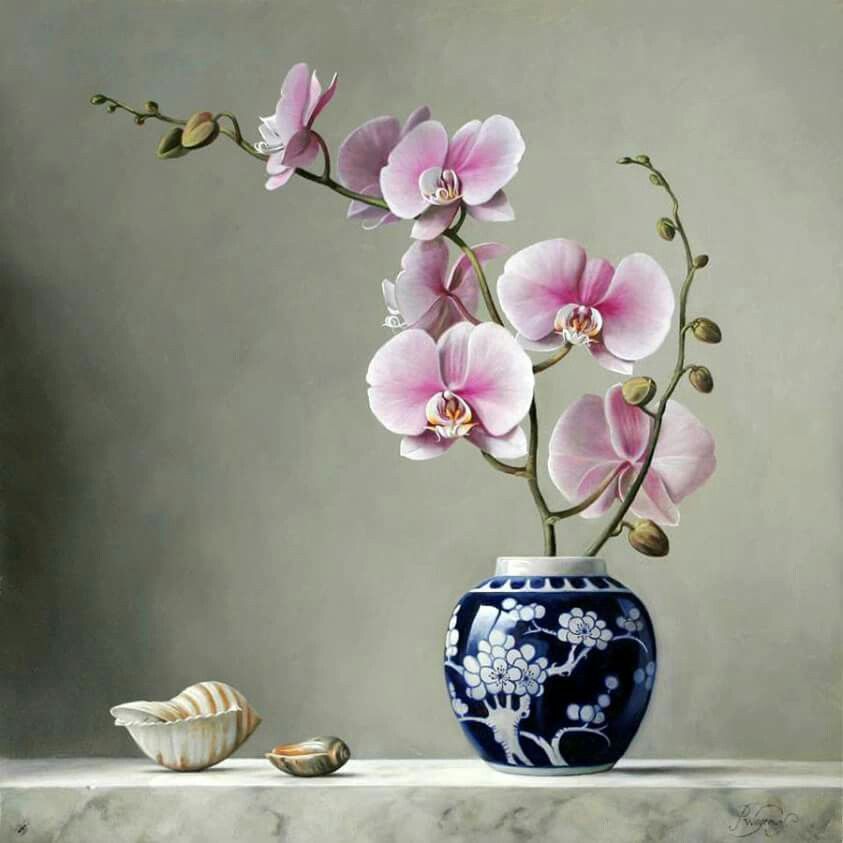 843x843 Pin By Deniz On Orchid And Paintings - Famous Orchid Painting
