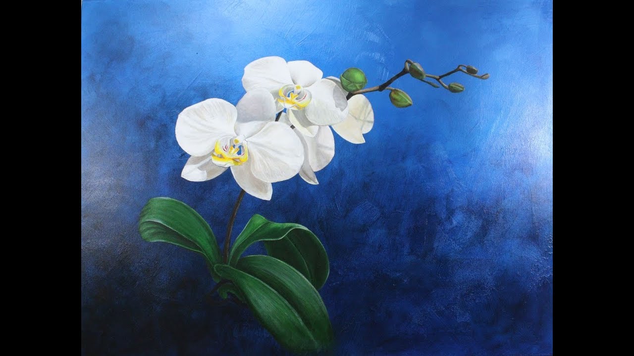 1280x720 Art Lesson How To Paint Realistic Orchids In Acrylic - Famous Orchid Painting