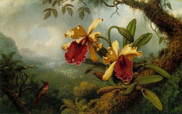 580x363 Behind The Beauty Of Orchids, Centuries Of Violence - Famous Orchid Painting