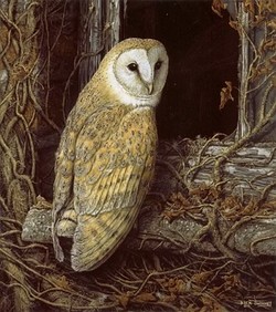 250x282 Famous Owl Paintings - Famous Owl Painting