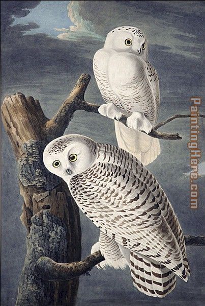 403x599 Famous Paintings Of Owls Owl Painting We Offer 100 - Famous Owl Painting