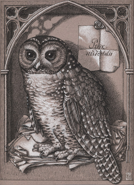 473x650 Sovie Tattoo Black And White Owl Drawing - Famous Owl Painting