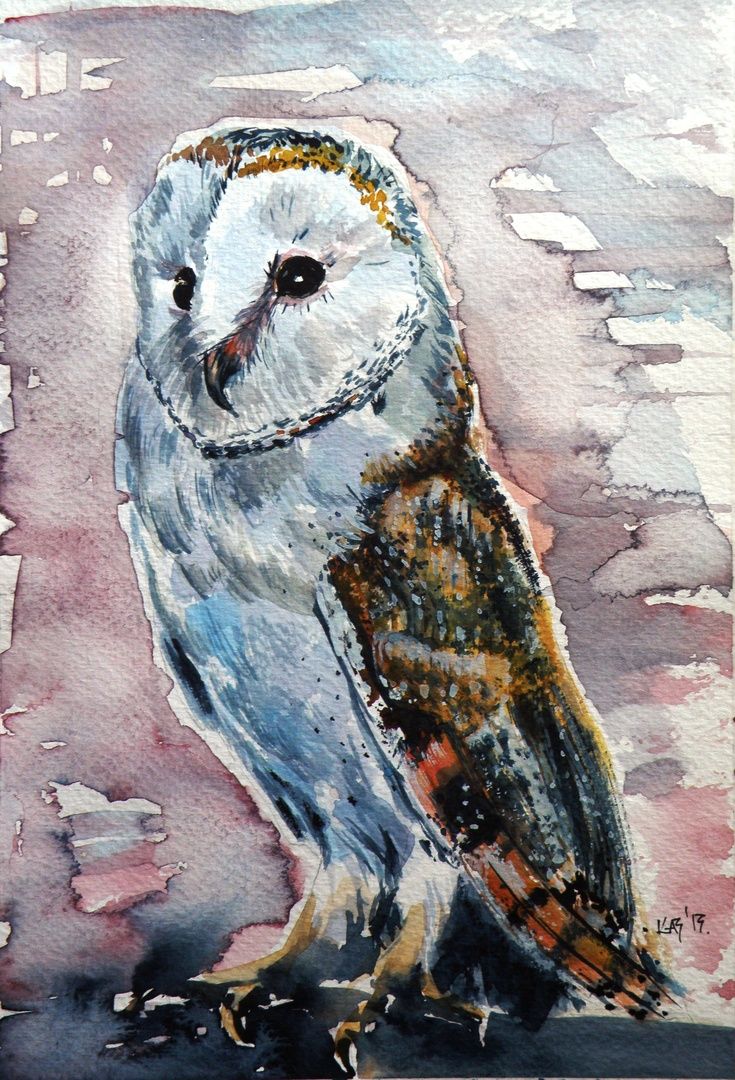 735x1080 Artfinder Screech Owl By Anna Brigitta - Famous Owl Painting