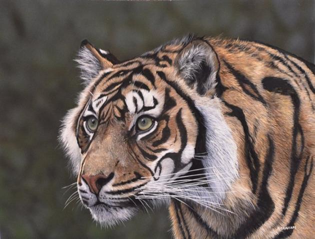 630x479 Realistic Tiger And Leopard Paintings - Famous Painting Of Tigers