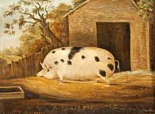 Famous Pig Painting at PaintingValley.com | Explore collection of ...