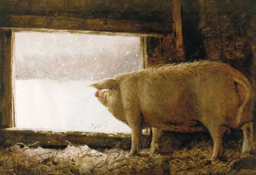 500x343 Jamie Wyeth Born To Paint The Saturday Evening Post - Famous Pig Painting