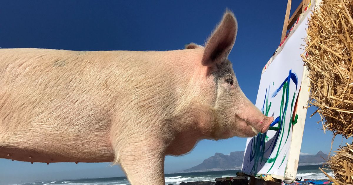 1200x630 Painting Pig Dubbed - Famous Pig Painting