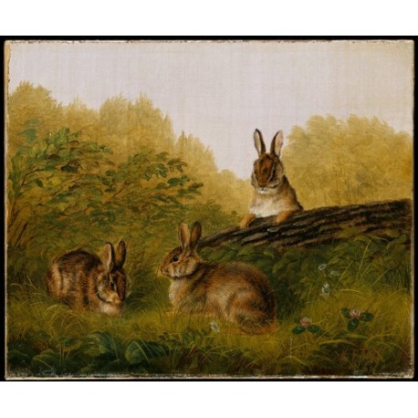 458x458 Rabbits On A Log By Arthur Fitzwilliam Tait - Famous Rabbit Painting
