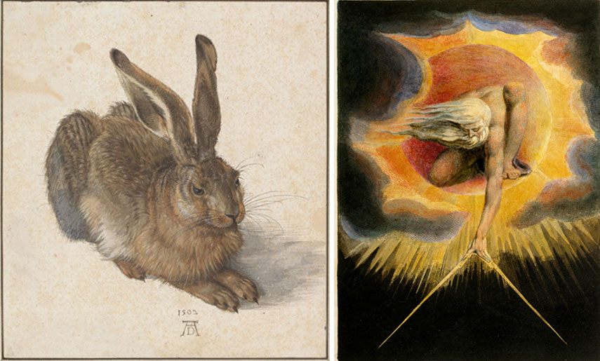 855x515 Understanding Watercolor Art Widewalls - Famous Rabbit Painting