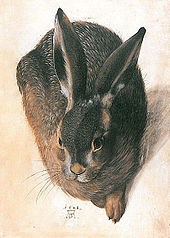 170x238 Young Hare - Famous Rabbit Painting