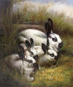 236x282 Two Himalayan Rabbits Painting, Zhu Jin Bo, Oil Painting - Famous Rabbit Painting