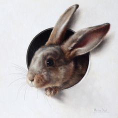 236x236 Famous rabbit paintings Rabbit Seated In Snow 3 Bunny Thick - Famous Rabbit Painting