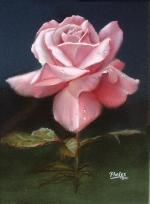 150x204 History Of The Rose, The Worlds Most Famous Flower! - Famous Rose Painting