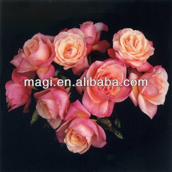 350x350 Famous Pink Rose Flower Oil Painting - Famous Rose Painting