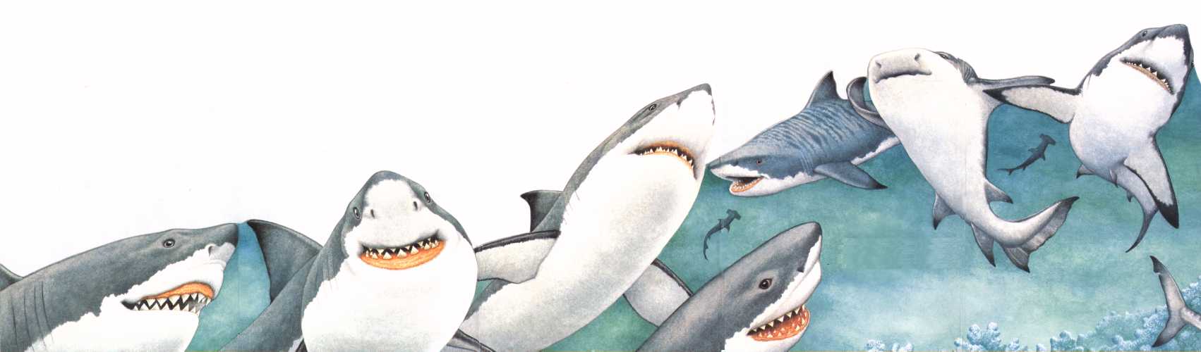 1702x500 Fiona's Fun Shark Graphics - Famous Shark Painting