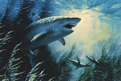 396x265 George L. Schelling Wildlife Art Paintings Fresh And Salt Water - Famous Shark Painting