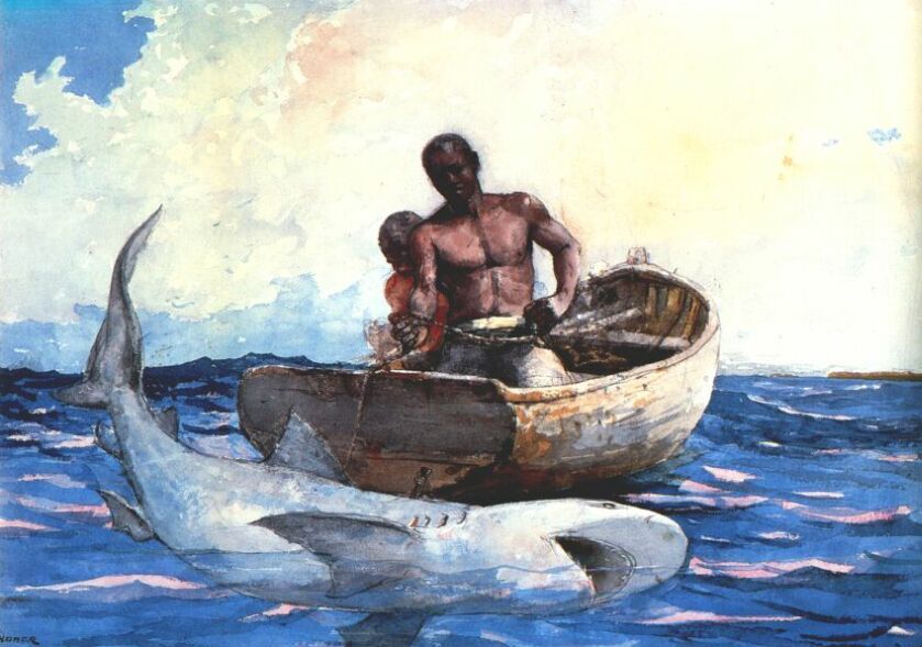 839x589 Shark Fishing Winslow Homer Biblioklept - Famous Shark Painting
