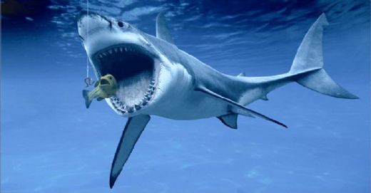 520x271 Original Sea Life Shark Painting For Sale - Famous Shark Painting