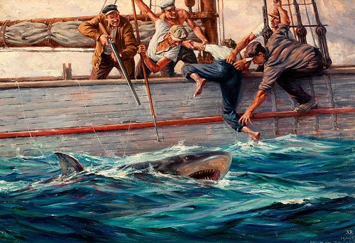 500x342 Shark - Famous Shark Painting