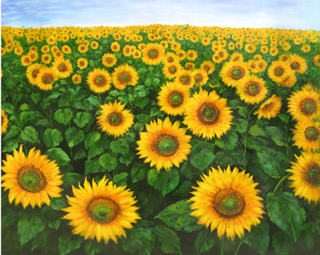 450x359 Beautiful Large Famous Sunflower Oil Paintings - Famous Sunflower Painting
