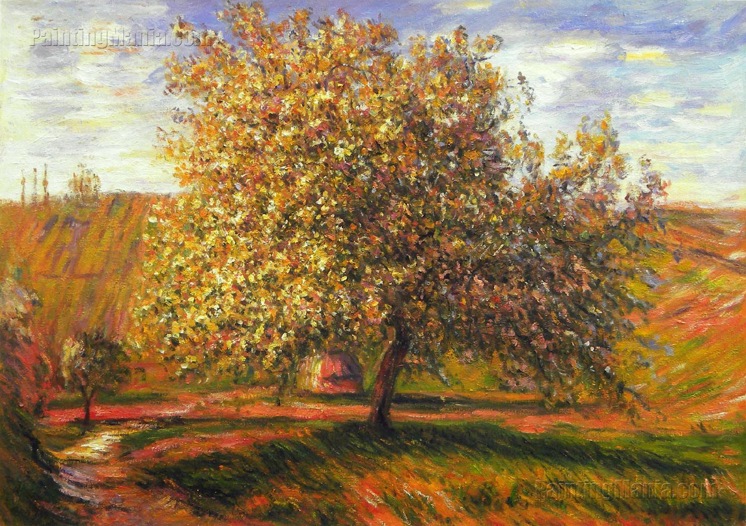 Famous Tree Painting at Explore collection of