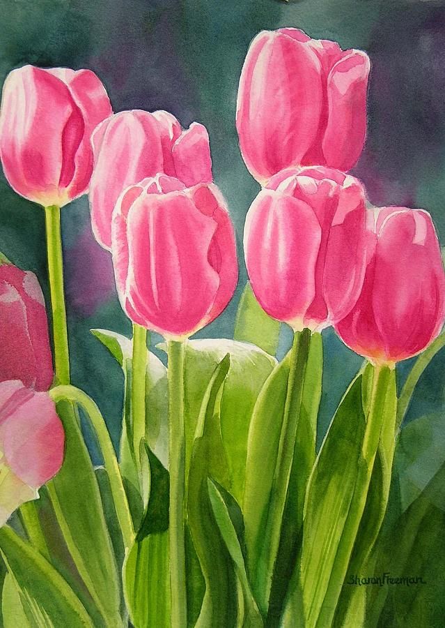 639x900 Rosy Pink Tulips Canvas Print Canvas Art By Sharon Freeman - Famous Tulip Painting