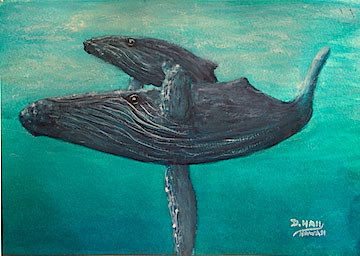 360x256 Hawaiian Marine Life Art Paintings Amp Prints For Sale By Hawaii - Famous Whale Painting