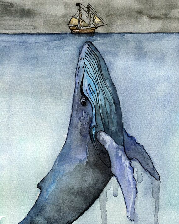 570x713 Whale Painting, Watercolor Painting, Whale Print, Whale And Boat - Famous Whale Painting