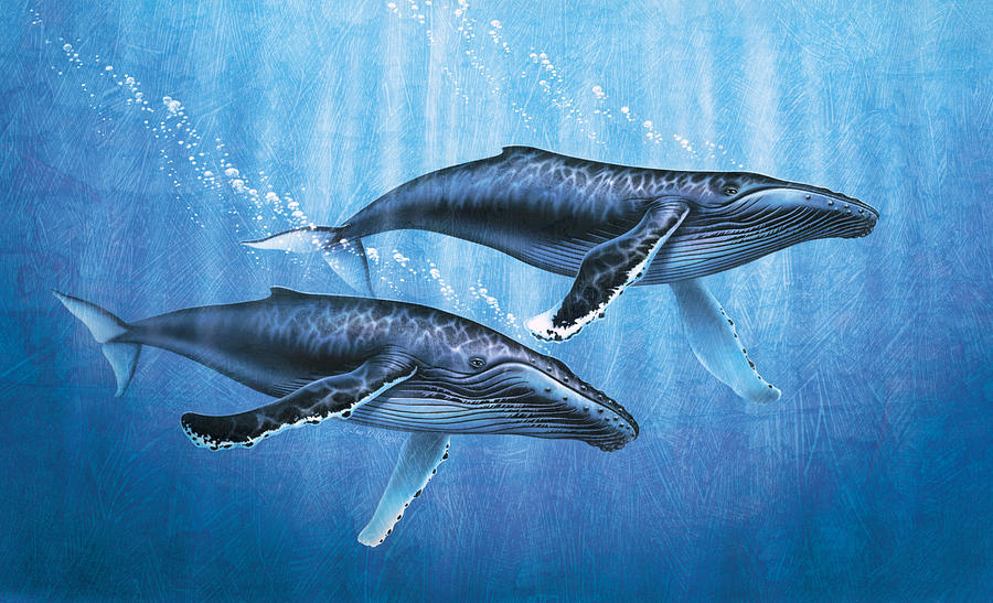 900x547 Whale Paintings Fine Art America - Famous Whale Painting