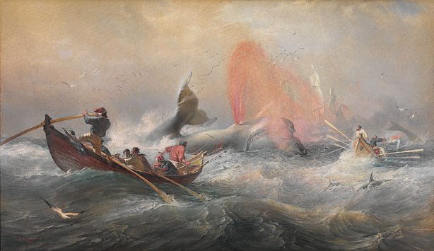 614x355 Whaling In Australia - Famous Whale Painting