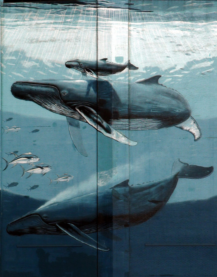 737x940 Wyland Hopes To Save Whaling Wall Mural From Demolition - Famous Whale Painting
