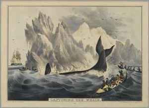 300x219 Famous Fish Paintings Amp Reproductions - Famous Whale Painting