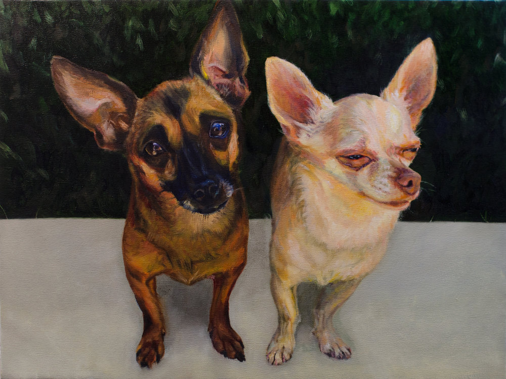 1000x750 Huund Dog Portraits Commissioned Pet Paintings - Fancy Dog Painting