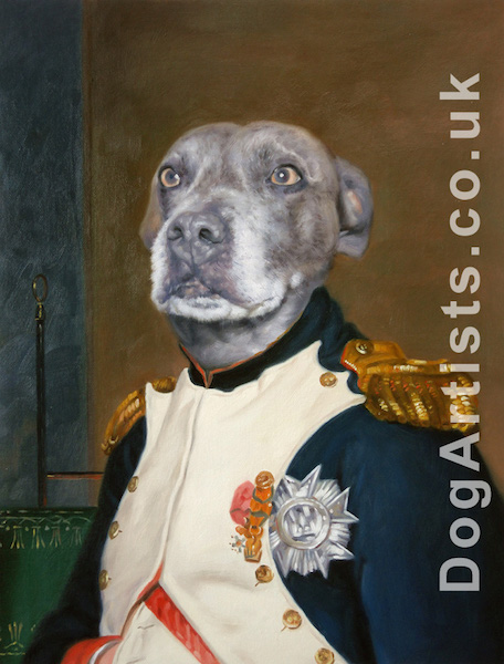 456x600 Reg As Napoleon Dog Artists - Fancy Dog Painting