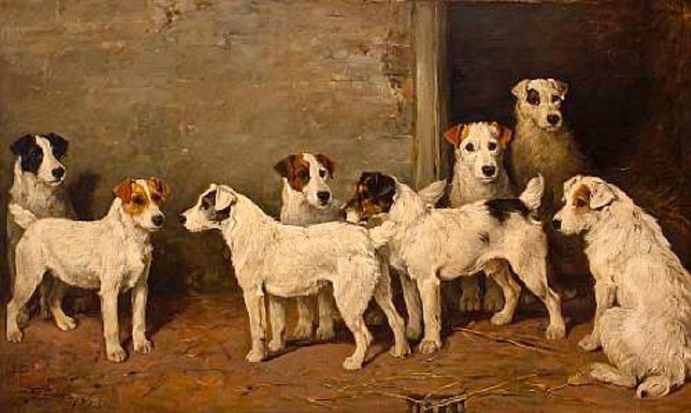 1000x598 The Hunt Terrier Natural History - Fancy Dog Painting