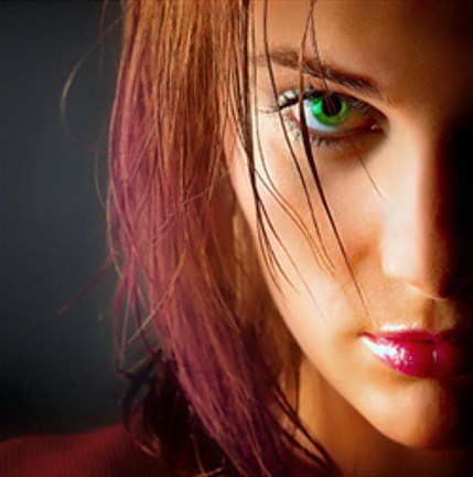 429x432 Fantasia Painter The Best Free Downloads Online - Fantasia Painting