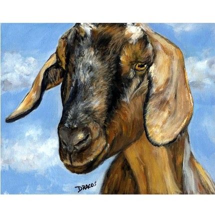 430x430 Nubian Goat Farm Animal Art 8x10 Print, Painting By Dottie Dracos - Farm Animal Painting