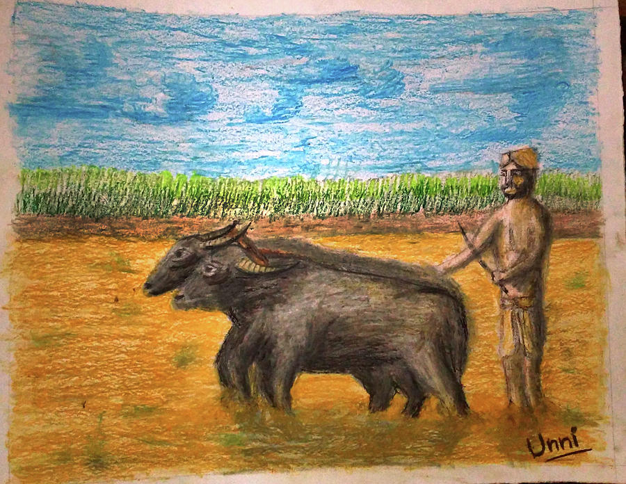 900x696 Indian Farmer Painting By Unni Babu - Farmer Painting