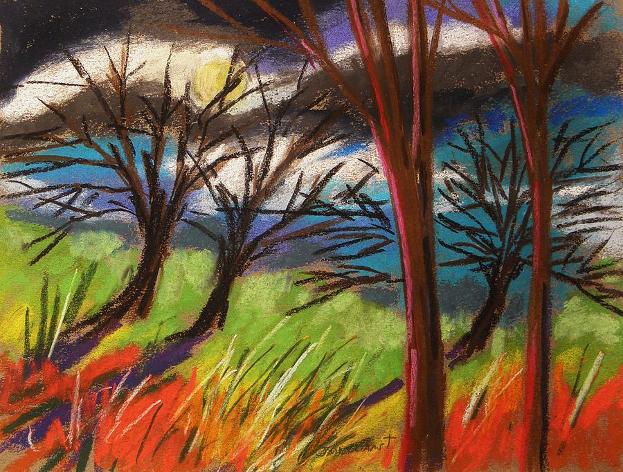 900x682 Storm Approaching Fast Painting By John Williams - Fast Painting