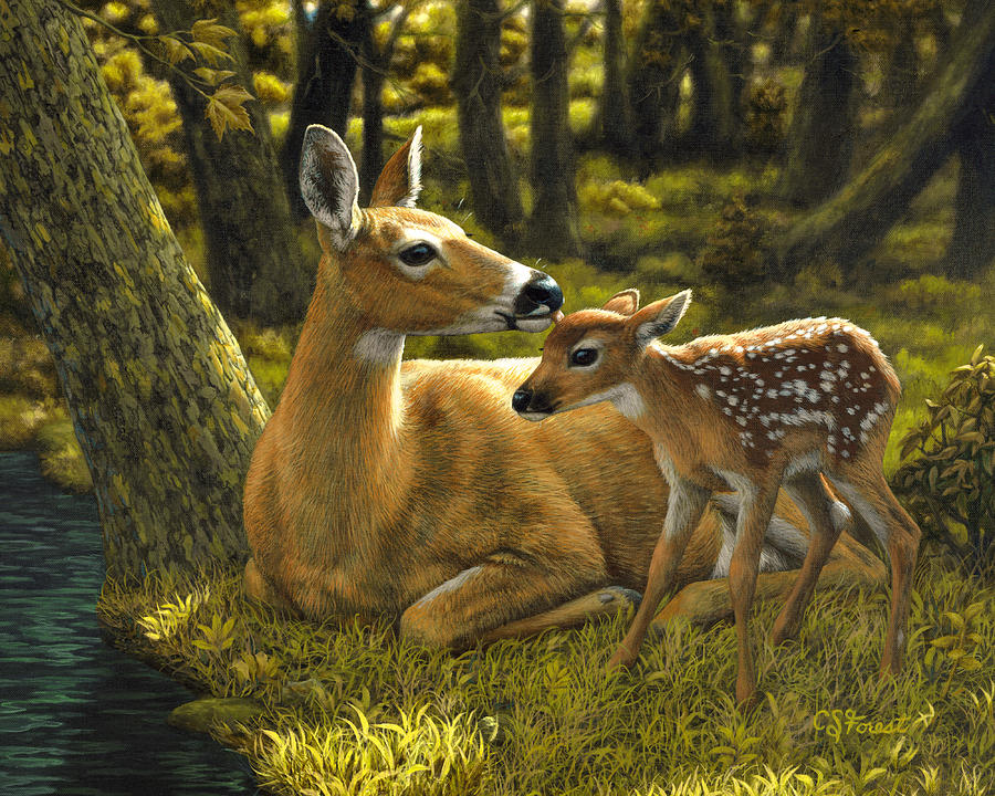 900x720 First Spring - Fawn Painting
