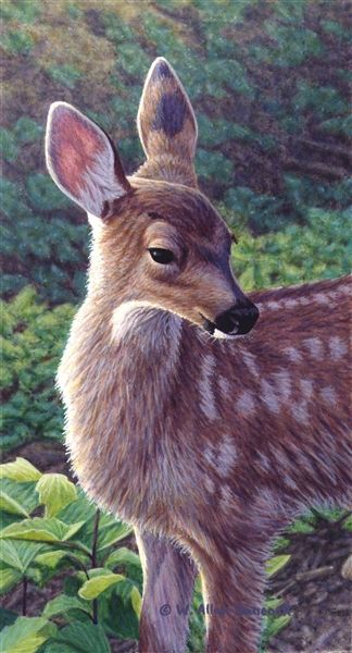 324x600 First Summer - Fawn Painting