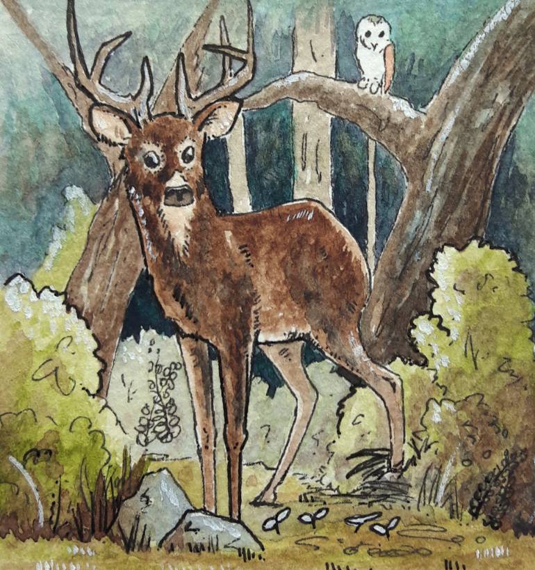 770x819 Saatchi Art Deer In The Woods Painting By Rebecca Sutton - Fawn Painting