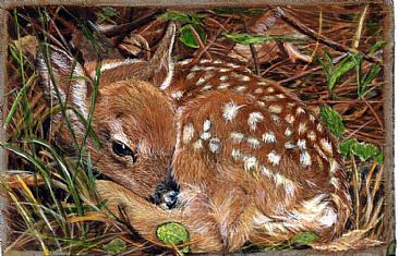 366x235 Fawn - Fawn Painting