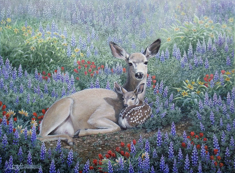 800x590 Fawn Walking Sticks And Original Paintings By Mike Stinnett - Fawn Painting